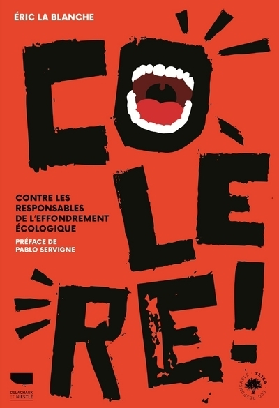 Picture of Colère !
