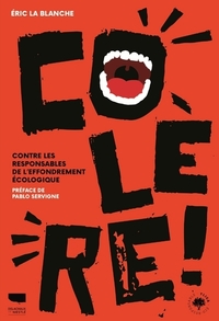 Picture of Colère !
