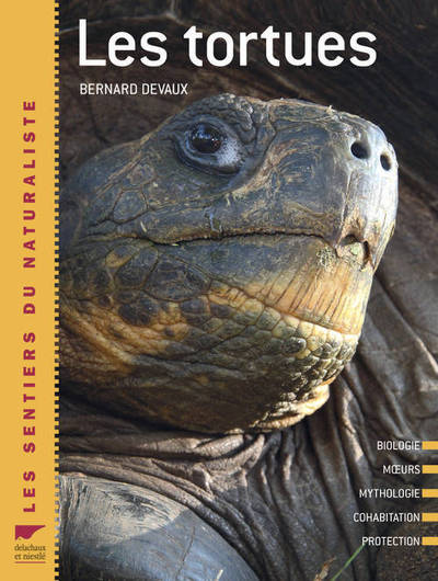 Image de Les tortues