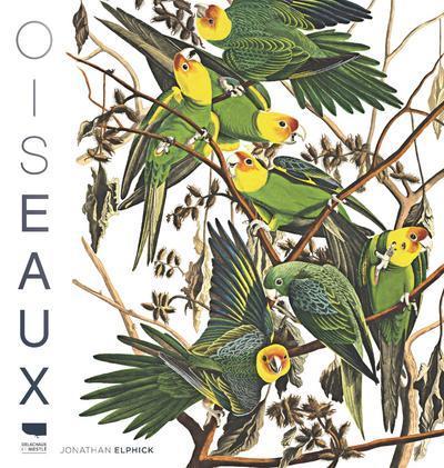Picture of Oiseaux