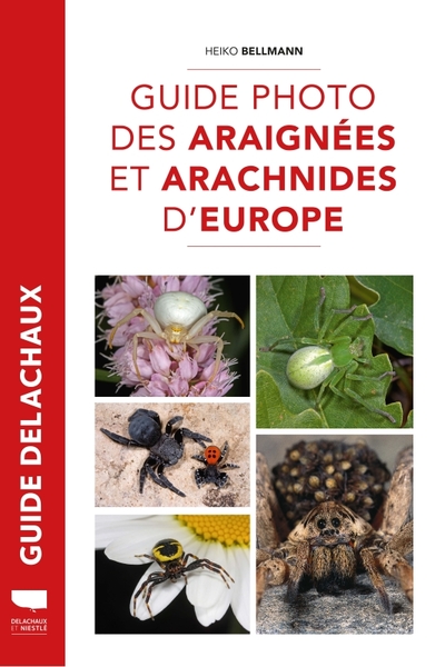 Image de Guide photo des araignées et arachnides d'Europe
