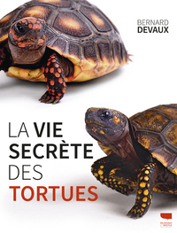 Image de La Vie secrète des tortues