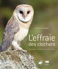 Picture of L'Effraie des clochers