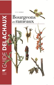 Picture of Bourgeons et rameaux