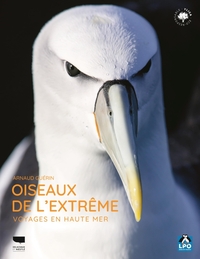 Image de Oiseaux de l'extrême