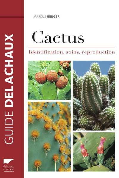 Picture of Cactus
