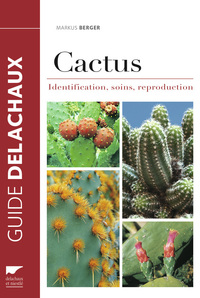 Picture of Cactus