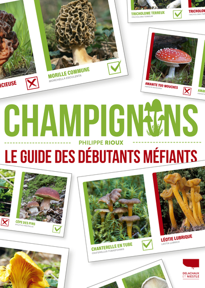 Picture of Champignons