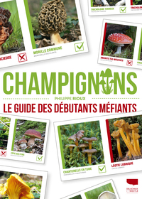 Image de Champignons