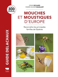 Image de Mouches et moustiques