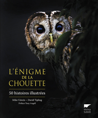 Image de L'énigme de la chouette