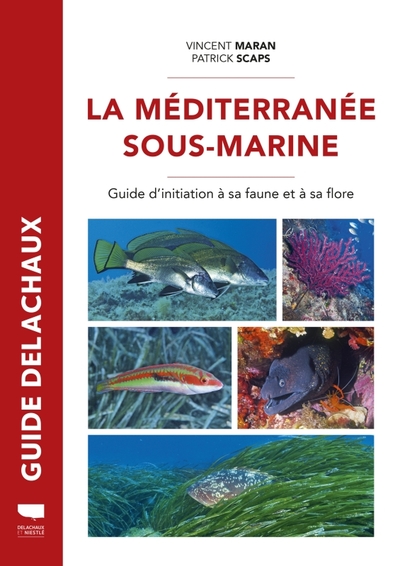 Image de Méditerranée sous-marine