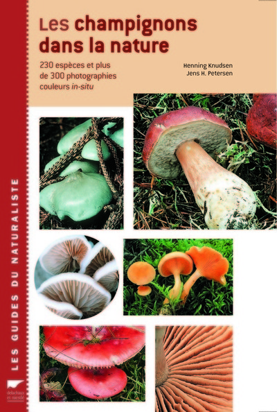 Image de Les Champignons dans la nature