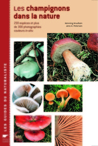 Image de Les Champignons dans la nature