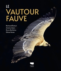 Image de Le Vautour fauve