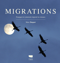 Image de Migrations