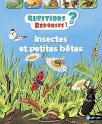Image de Insectes et petites bêtes