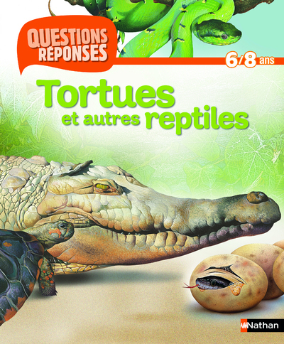 Image de N10 - TORTUES ET AUTRES REPTILES - QUESTIONS/REPONSES 6/8 ANS