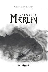 Picture of Le coffre de Merlin
