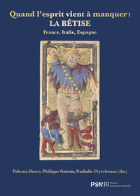Picture of Quand l'esprit vient à manquer : la bêtise