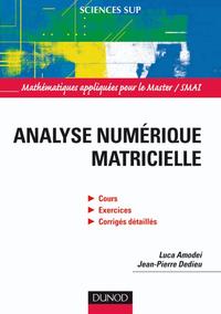 Image de Analyse numérique matricielle