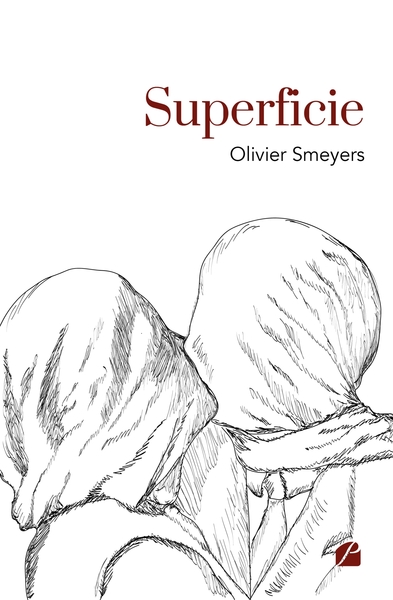 Picture of Superficie