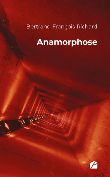 Picture of Anamorphose
