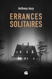 Image de Errances solitaires
