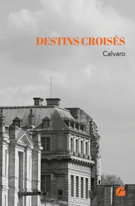Picture of Destins croisés
