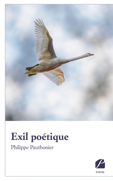 Picture of Exil poétique