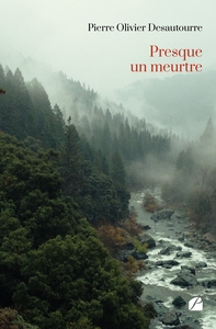 Picture of Presque un meurtre