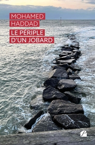 Image de Le périple d'un jobard