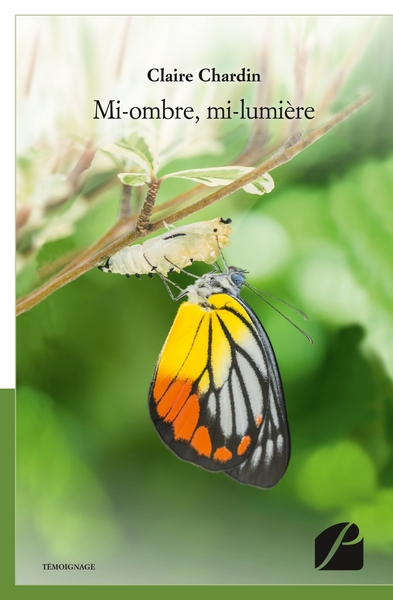 Picture of Mi-ombre, mi-lumière
