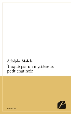 Image de Traqué par un mystérieux petit chat noir