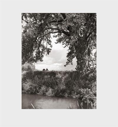 Image de Robert Adams Cottonwoods /anglais