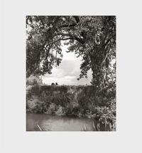 Image de Robert Adams Cottonwoods /anglais