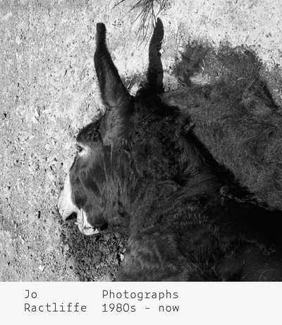 Picture of Jo Ractliffe Photographs 1980s - now /anglais