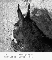 Picture of Jo Ractliffe Photographs 1980s - now /anglais