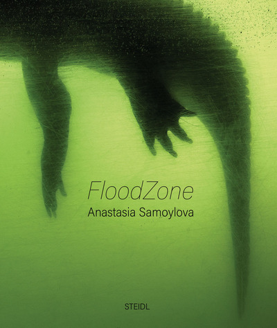 Picture of Anastasia Samoylova FloodZone /anglais