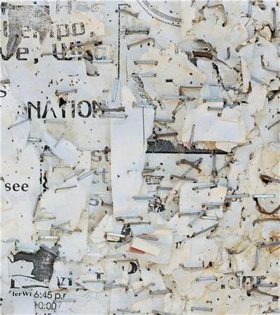 Image de Mitch Epstein Property Rights /anglais