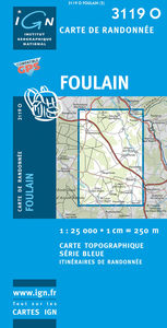 Image de **3119O FOULAIN**VOIR IGB3119SB**