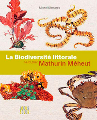 Picture of Biodiversite Littorale Vue Par Meheut