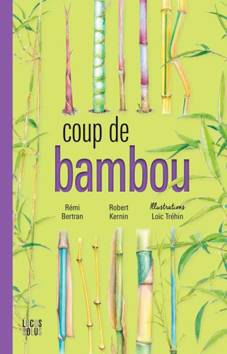 Picture of Coup De Bambou