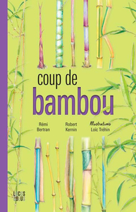 Picture of Coup De Bambou