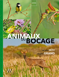 Picture of Animaux du bocage - Du plus petit au plus grand