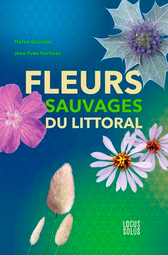 Picture of Fleur sauvages du littoral