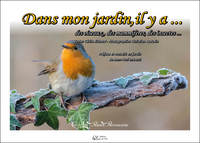 Image de Dans mon jardin, il y a... des oiseaux, des mammifères, des insectes...