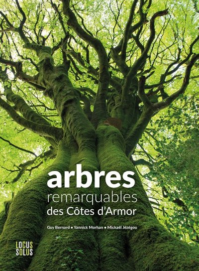Picture of Arbres remarquables des Côtes-d'Armor