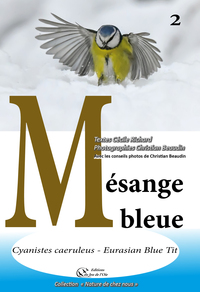 Picture of Mésange bleue