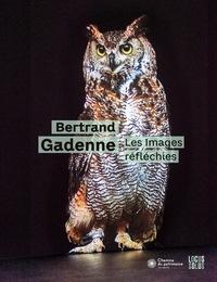 Picture of Bertrand Gadenne - Les images réfléchies